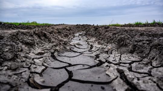 Érteni kell, mi van a felszín alatt Érteni kell, mi van a felszín alatt