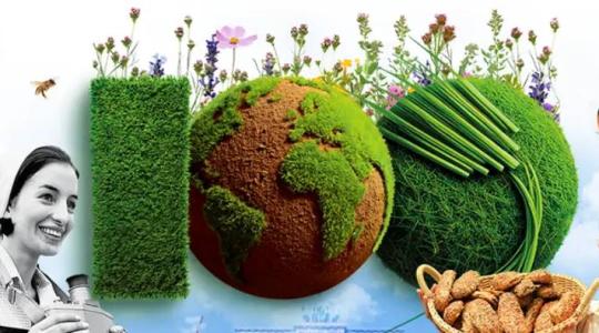 2026-ban 100 éves a Nemzetközi Zöld Hét