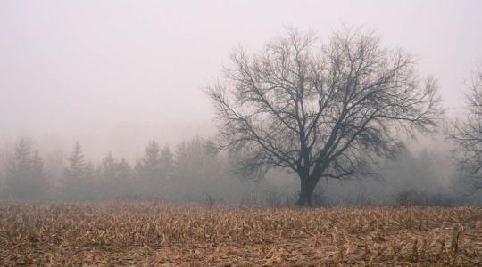 Időjárás: Erősödik  a ködhajlam + VIDEÓ