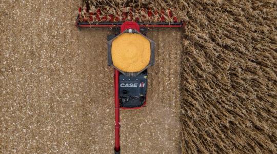 Case IH C500: megérkezett az első 16 soros csőtörő adapter Európába