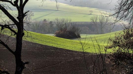 Haszonbérlet, öröklés, földtulajdon: jönnek az új szabályok