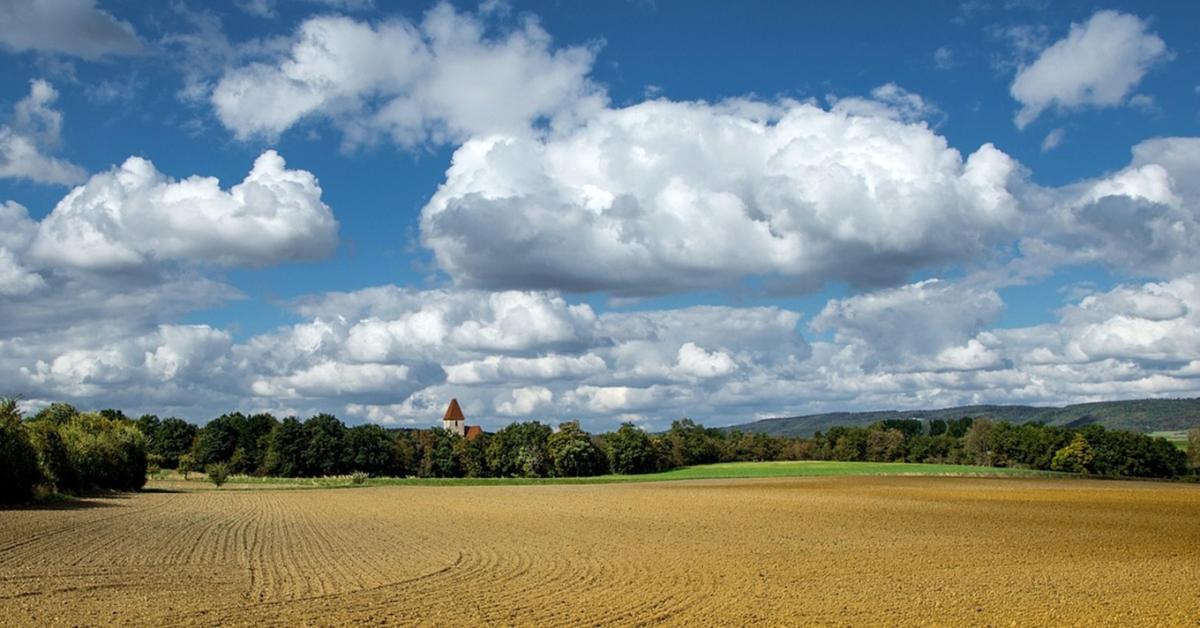 Ez minden földtulajdonost érint: fontos változások a földtörvényben