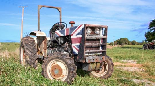 Vérre megy: szörnyű dilemmák gyötrik a brit gazdákat Vérre megy: szörnyű dilemmák gyötrik a brit gazdákat