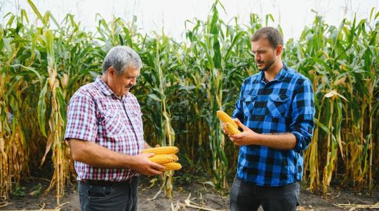 Nem mindegy, ki vezeti a gazdaságot – banki szempontból sem
