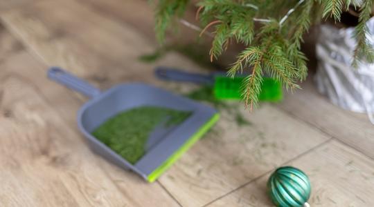 Már most készülj fel! 5 bevált tipp a hulló tűlevelek ellen!