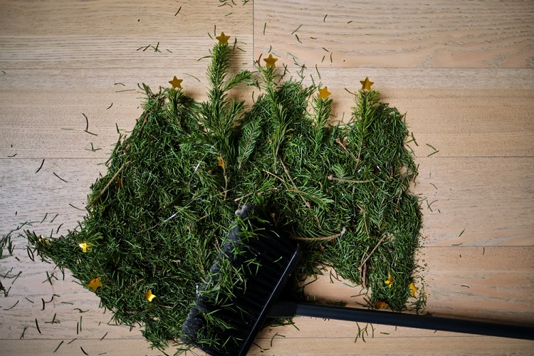 karácsonyfa fenyőfa lehullott tűlevele