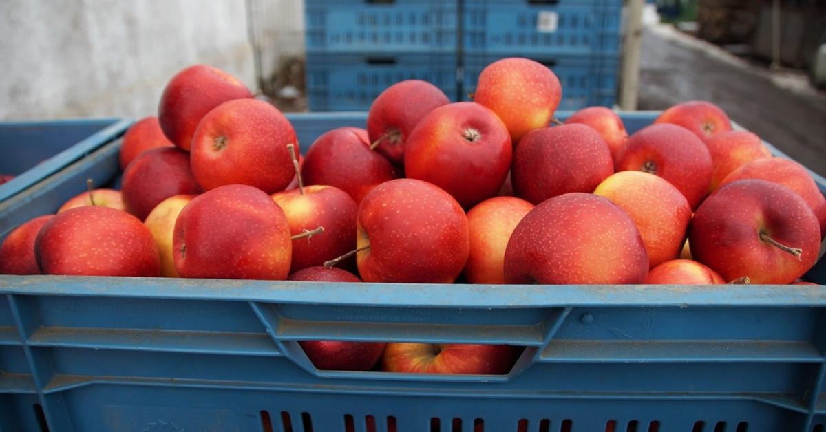 Gyenge év, csillagokig kúszó árak Gyenge év, csillagokig kúszó árak