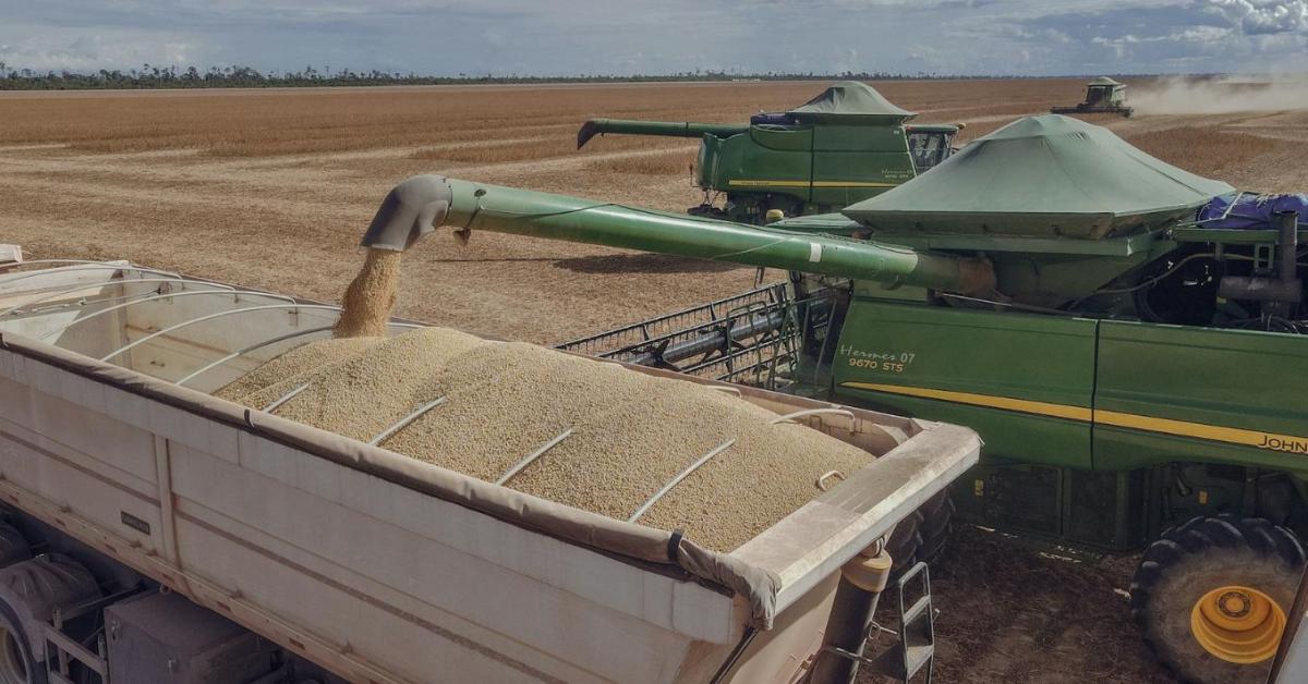 Mercosur-ügy: mindennek van határa?