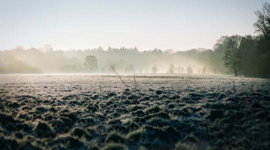 Hó nélkül marad az Alföld – mélyül a talajvízhiány Hó nélkül marad az Alföld – mélyül a talajvízhiány