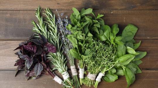 Ez a 3 gyógynövény csodaszer a gyomornak