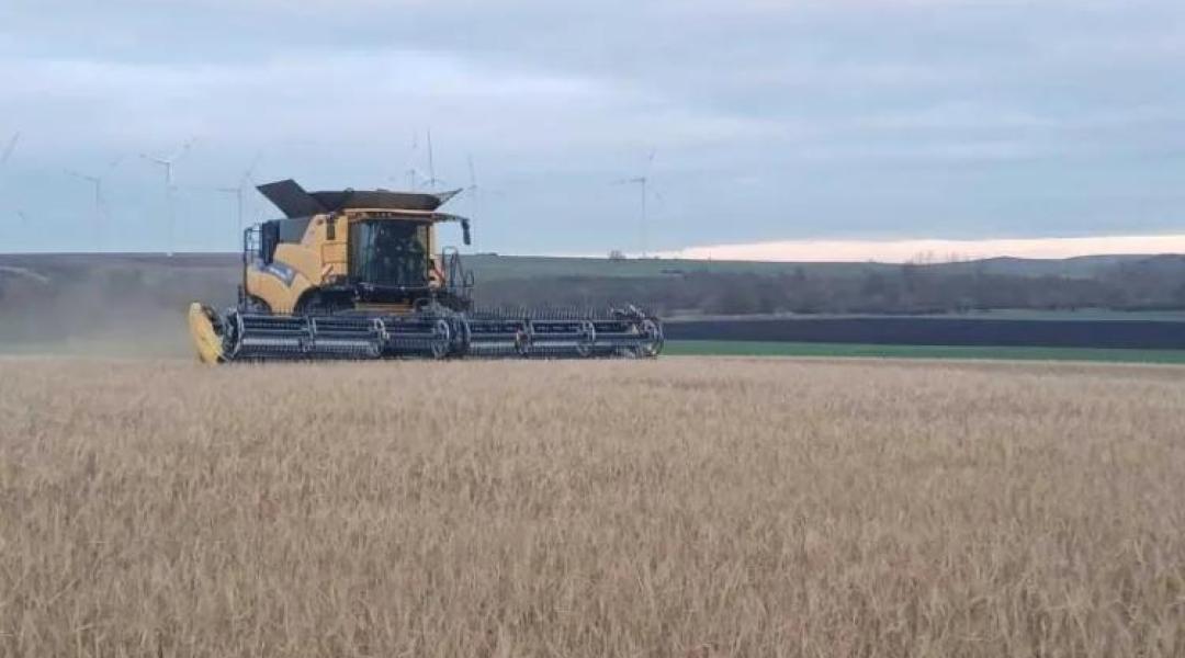 Adventi betakarítás Türingiában: lehet-e egy évben kétszer is aratni?