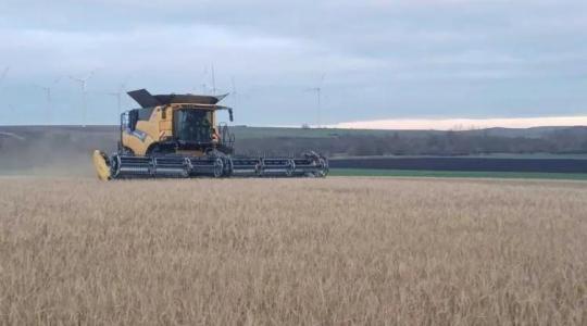 Adventi aratás Türingiában: lehet-e egy évben kétszer is aratni?