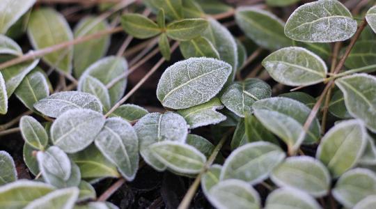 Időjárás: Karácsonyig így marad + VIDEÓ