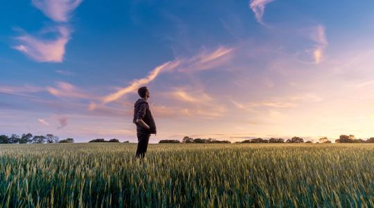 Ha fiatal gazdák nem tudnak indulni – lemaradhat egy egész generáció