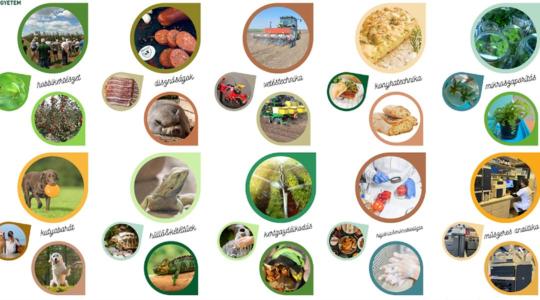 Tésztakészítés, mikroszaporítás, hüllőtartás – új tanfolyamok indulnak Debrecenben