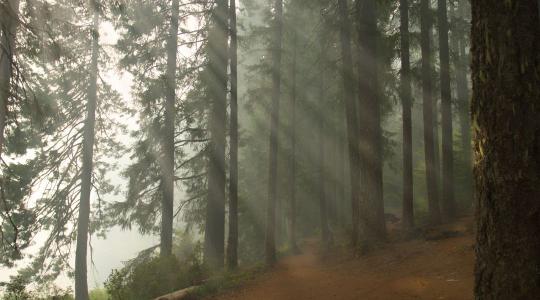 Időjárás: A szürkeség lesz az úr + VIDEÓ