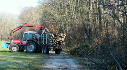Időjárás: Túlnyomóan borult, párás, helyenként ködös idő várható + VIDEÓ