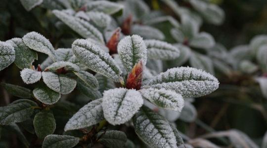 Mégis fehér lesz a karácsony?