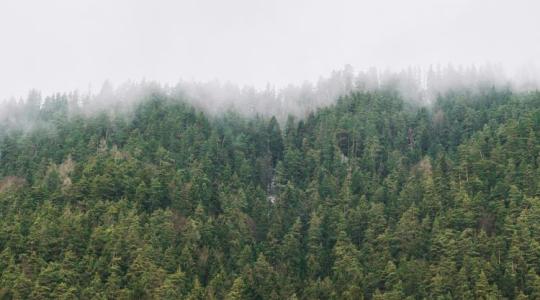 Vízhiány: összeomlik a rendszer?