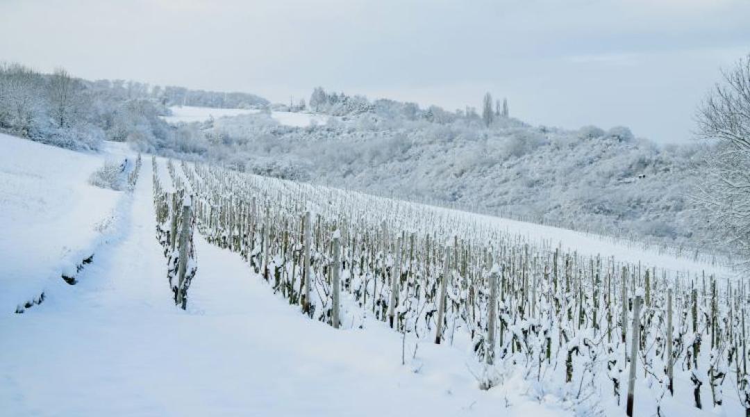 Milyen időjárás vár ránk januárban? Íme!