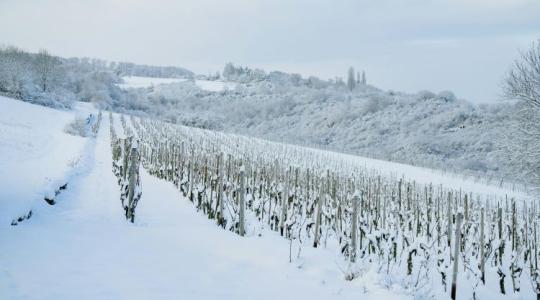 Milyen időjárás vár ránk januárban? Íme!