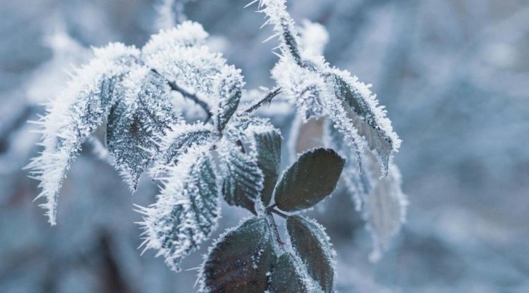 Időjárás: derült éjszaka, köddel indulhat a szombat +VIDEÓ