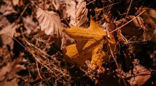 Időjárás: na, pont ezt nem szerettük volna... +VIDEÓ