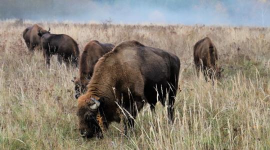 Soha nem látott mértékű támogatást kap ez az ágazat +VIDEÓ