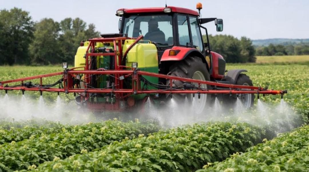 Hatóanyag-kivonások után: mi marad a burgonyatermesztő kezében?