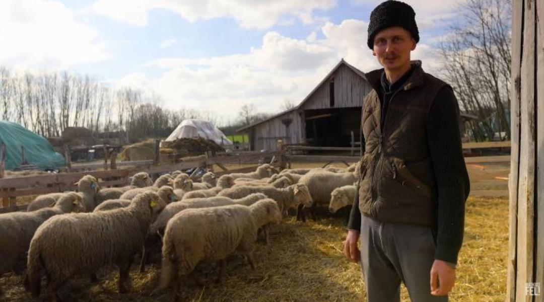 Egy eltűnő világ nyomában – juhászsors egy éven át +VIDEÓ