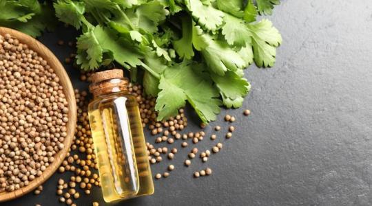 Zöld csoda a konyhában: tudtad, hogy ez a fűszernövény védi a szíved?