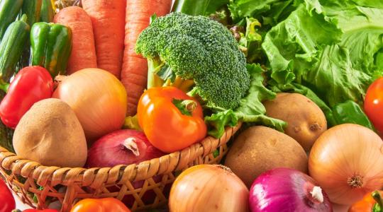 Amikor a természet mentette meg az embert