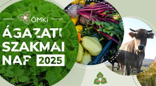 ÖMKi Ágazati Szakmai Nap 2025