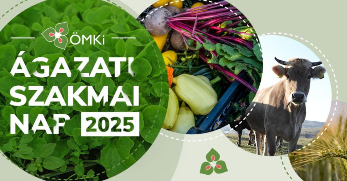 ÖMKi Ágazati Szakmai Nap 2025
