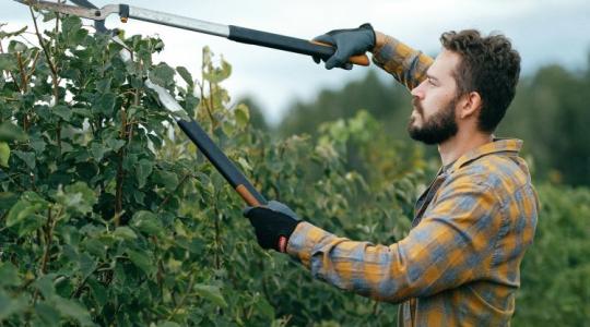 Tudatos gazda vagy? Akkor 2026-ban erre számíthatsz! +VIDEÓ