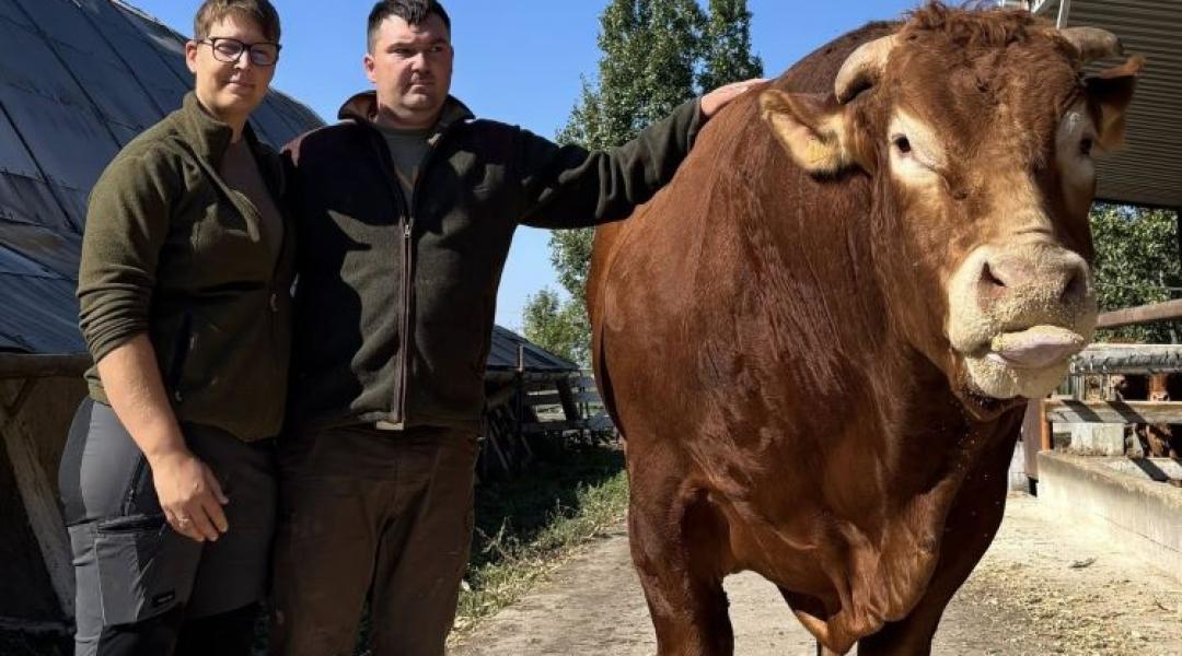 Több lábon, biztos alapokon – így lehet jó példa a dévaványai Pesztránszki Gazdaság