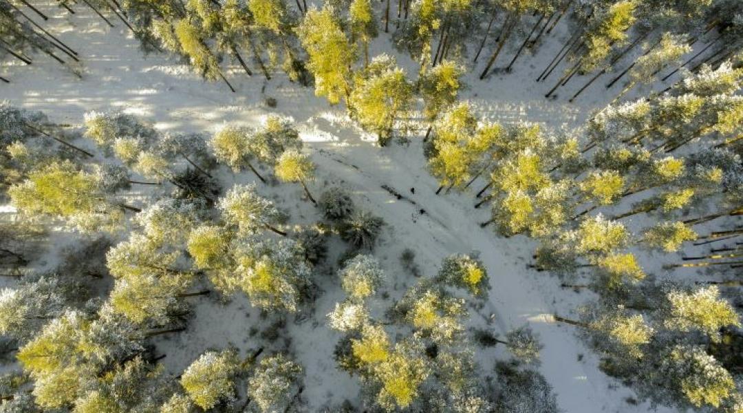 3 napos időjárás: fagyos éjszakák, havazhat is +VIDEÓ
