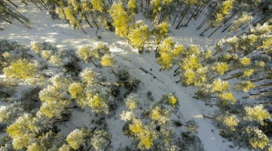 3 napos időjárás: fagyos éjszakák, havazhat is +VIDEÓ