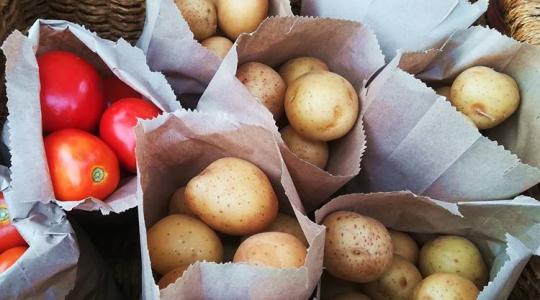 A paradicsomtól a sült krumpliig: így született a burgonya A paradicsomtól a sült krumpliig: így született a burgonya