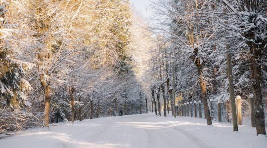 Havazás és szél: válsághelyzet több erdélyi megyében