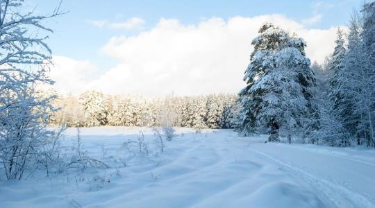 3 napos időjárás-előrejelzés: Lesz ez még rosszabb is! 3 napos időjárás-előrejelzés: Lesz ez még rosszabb is!