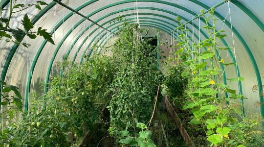 Fóliasátor fűtése télen – komposztfűtés, elektromos, vagy semmi?