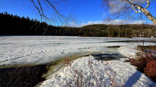 Olvadás–visszafagyás: ez a tél legtrükkösebb napja a kertnek Olvadás–visszafagyás: ez a tél legtrükkösebb napja a kertnek