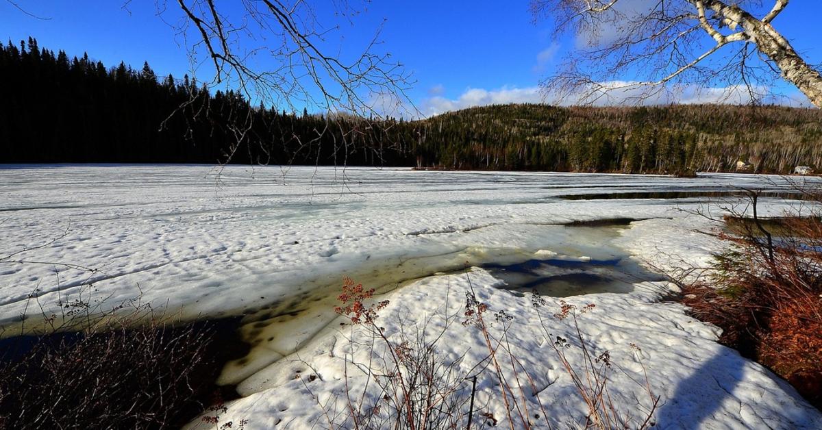 Olvadás–visszafagyás: ez a tél legtrükkösebb napja a kertnek Olvadás–visszafagyás: ez a tél legtrükkösebb napja a kertnek