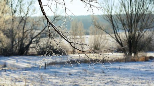 A fagyrepedés első jelei: így vedd észre időben A fagyrepedés első jelei: így vedd észre időben
