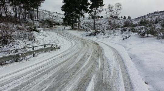 Jeges járda, csúszós udvar: mit szórhatsz, ami nem bántja a növényeket?