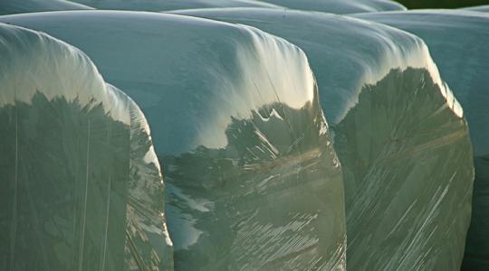 Összevissza tárolod a zsákos takarmányt? Így lesz belőle rágcsálómágnes Összevissza tárolod a zsákos takarmányt? Így lesz belőle rágcsálómágnes