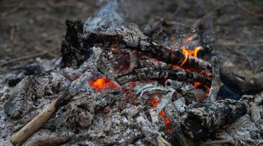 Hamu a kertben: 4 hely, ahová januárban se kerüljön