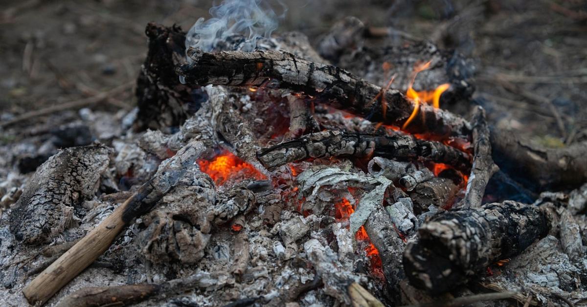 Hamu a kertben: 4 hely, ahová januárban se kerüljön