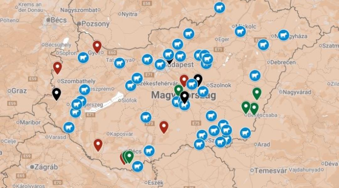 Térképen a tejtermelők: mentsd meg őket, vásárolj tőlük!
